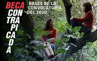 Beca Contrapicada 2020