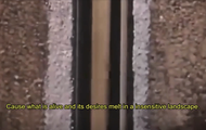 Diaris salvatges de l'extracció | Dimarts de vídeo al Santa Mònica