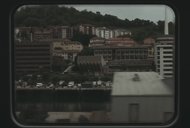 LA FI DEL MÓN? LA COL·LABORACIÓ COM A MANERA DE SOBREVIURE