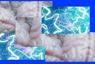 El monstruo del trabajo | equipoMotor - Museu Reina Sofía