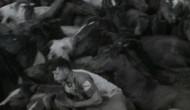 Hamaca, un arxiu a contrapel en PEEP