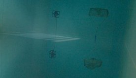 Paisatge dins la mar