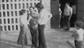 Recuperació dels fons de Video-Nou